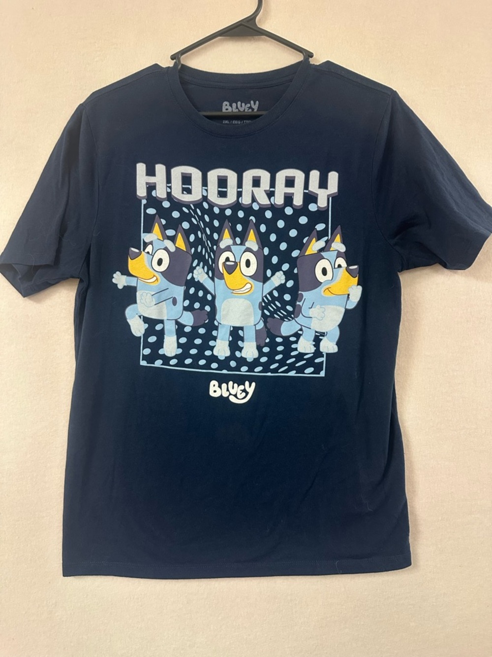 Bluey Boys Hooray Bluey, Crew Neck, Short Sleeve Graphic T-Shirt, Size 2XL 18